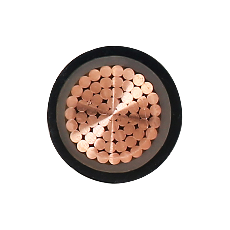 Nominal Gerilim 450/750V için EV Şarj Kablosu