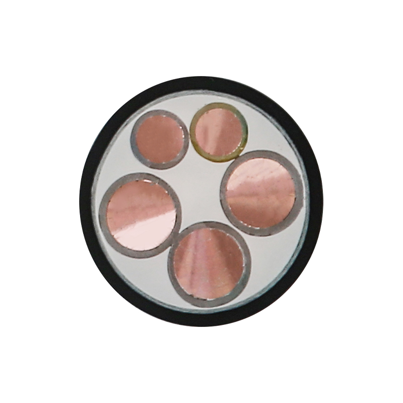 Nominal Gerilim 450/750V için EV Şarj Kablosu