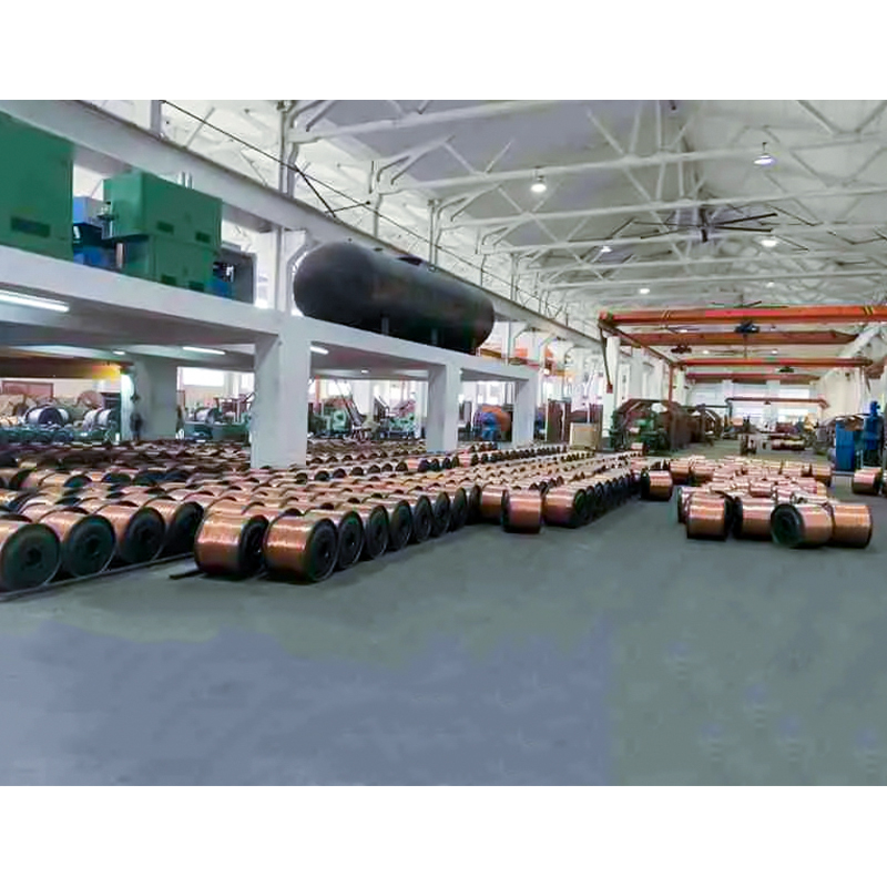 XLPE/PVC Yalıtımlı Kablo (tel) Nominal Gerilim 450/750V'a Kadar ve Dahil